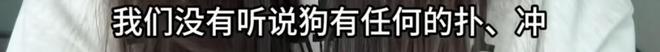 两男孩玩火点燃狗笼致狗被活活烧死 主人：不接受私了